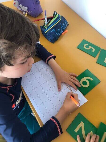 primaria